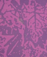 Patagonia（パタゴニア）ショートパンツ 紫 サイズ:XS レディース/2200697341068