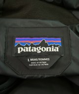 Patagonia（パタゴニア）ダウンジャケット/ダウンベスト 黒 サイズ:L メンズ/2200654269121