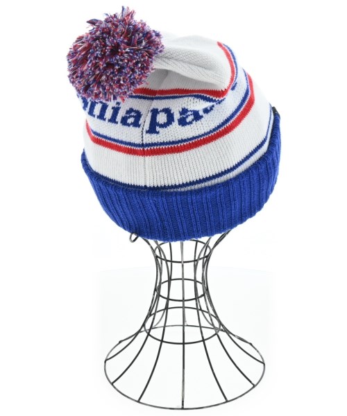 Patagonia（パタゴニア）ニットキャップ・ビーニー 白 サイズ:- メンズ/2200655888154