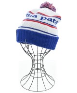 Patagonia（パタゴニア）ニットキャップ・ビーニー 白 サイズ:- メンズ/2200655888154