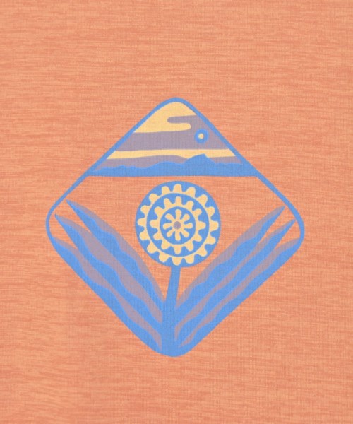 Patagonia（パタゴニア）Tシャツ・カットソー オレンジ サイズ:L メンズ/2200659174222