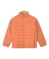 patagonia ダウンジャケット/ダウンベスト