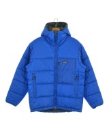 patagonia ダウンジャケット/ダウンベスト