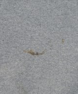 Patagonia（パタゴニア）スウェットパンツ グレー サイズ:S メンズ/2200650230026