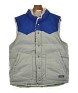 patagonia ダウンジャケット/ダウンベスト