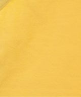 Patagonia（パタゴニア）タンクトップ 黄 サイズ:XS メンズ/2200642663160