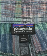 Patagonia（パタゴニア）ショートパンツ 緑 サイズ:M メンズ/2200707598086