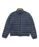 patagonia ダウンジャケット/ダウンベスト