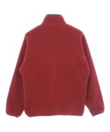 Patagonia（パタゴニア）スウェット 赤 サイズ:S メンズ/2200719044250