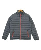 patagonia ダウンジャケット/ダウンベスト