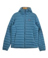 patagonia ダウンジャケット/ダウンベスト