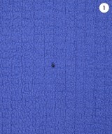 Patagonia（パタゴニア）ブルゾン 青 サイズ:XL メンズ/2200689519093