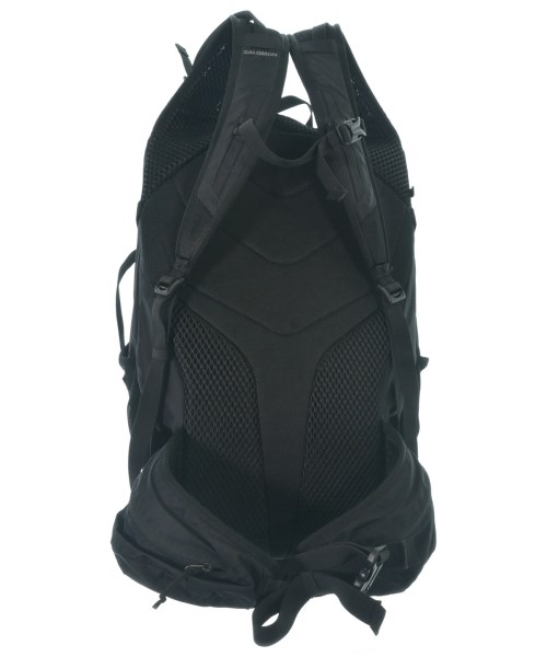 Salomon（サロモン）バックパック・リュック 黒 サイズ:- メンズ/2200673495143