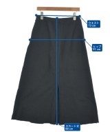 SALON（サロン）ロング・マキシ丈スカート 黒 サイズ:F レディース/2200646066103