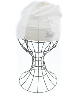 ARC'TERYX ニットキャップ・ビーニー