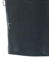 ARC'TERYX（アークテリクス）ショートパンツ 黒 サイズ:30(M位) メンズ/2200622282251