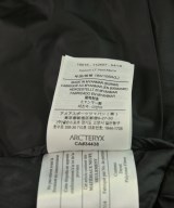ARC'TERYX（アークテリクス）ダウンジャケット/ダウンベスト 黒 サイズ:L メンズ/2200613978026