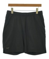 ARC'TERYX ショートパンツ