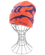 ARC'TERYX（アークテリクス）ニットキャップ・ビーニー その他（柄物・カラフル） サイズ:- メンズ/2200670179060