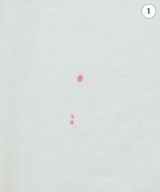 ARC'TERYX（アークテリクス）Tシャツ・カットソー 白 サイズ:S メンズ/2200675119122