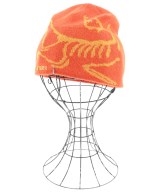ARC'TERYX ニットキャップ・ビーニー