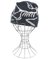 ARC'TERYX（アークテリクス）ニットキャップ・ビーニー 黒 サイズ:- メンズ/2200677766195