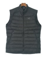 ARC'TERYX ダウンジャケット/ダウンベスト