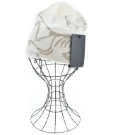 ARC'TERYX ニットキャップ・ビーニー