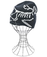 ARC'TERYX ニットキャップ・ビーニー