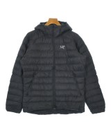 ARC'TERYX（アークテリクス）ダウンジャケット/ダウンベスト 黒 サイズ:M メンズ/2200649021109