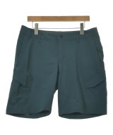 ARC'TERYX（アークテリクス）ショートパンツ 青 サイズ:34(XL位) メンズ/2200649186440
