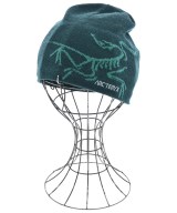 ARC'TERYX（アークテリクス）ニットキャップ・ビーニー 緑 サイズ:- メンズ/2200708371145