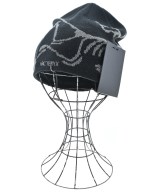 ARC'TERYX（アークテリクス）ニットキャップ・ビーニー 黒 サイズ:ONE メンズ/2200663555031