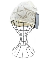 ARC'TERYX（アークテリクス）ニットキャップ・ビーニー 白 サイズ:ONE メンズ/2200663555048