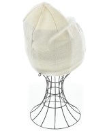 ARC'TERYX（アークテリクス）ニットキャップ・ビーニー 白 サイズ:- メンズ/2200672180071