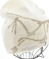 ARC'TERYX（アークテリクス）ニットキャップ・ビーニー 白 サイズ:- メンズ/2200672180071