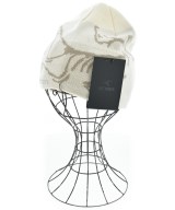 ARC'TERYX ニットキャップ・ビーニー