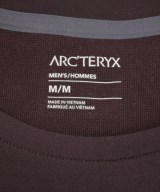 ARC'TERYX（アークテリクス）Tシャツ・カットソー 赤 サイズ:M メンズ/2200685594148