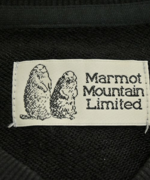 Marmot（マーモット）Tシャツ・カットソー 黒 サイズ:M レディース/2200677270036