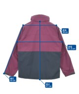 Helly Hansen（ヘリーハンセン）その他 紫 サイズ:L/L レディース/2200724603039