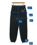 THE NORTH FACE PURPLE LABEL（ザノースフェイスパープルレーベル）その他 黒 サイズ:32(L位) メンズ/2200716939016