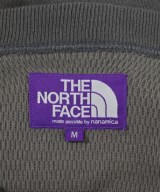 THE NORTH FACE PURPLE LABEL（ザノースフェイスパープルレーベル）Tシャツ・カットソー グレー サイズ:M メンズ/2200670324026