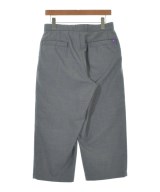 THE NORTH FACE PURPLE LABEL（ザノースフェイスパープルレーベル）クロップドパンツ グレー サイズ:30(M位) メンズ/2200731122028