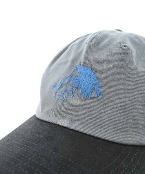 THE NORTH FACE PURPLE LABEL（ザノースフェイスパープルレーベル）キャップ グレー サイズ:F メンズ/2200722608029