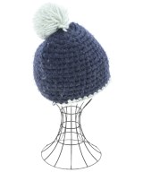 BLACK DIAMOND（ブラックダイヤモンド）ニットキャップ・ビーニー 紺 サイズ:- メンズ/2200674380240