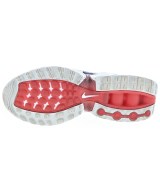 NIKE（ナイキ）スニーカー 白 サイズ:28cm メンズ/2200679801023