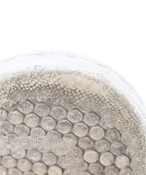 adidas（アディダス）スニーカー 白 サイズ:25cm レディース/2200640745073