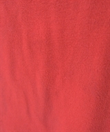 CHAMPION（チャンピオン）Tシャツ・カットソー 赤 サイズ:S メンズ/2200612280052