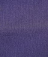 Levi's（リーバイス）デニムパンツ 紫 サイズ:31(M位) メンズ/2200649789016