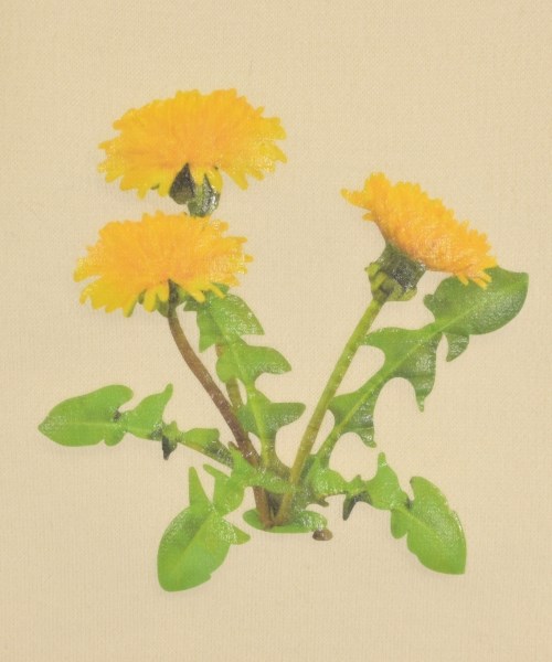 LOEWE（ロエベ）ニット・セーター 白 サイズ:XS レディース/2200640420017